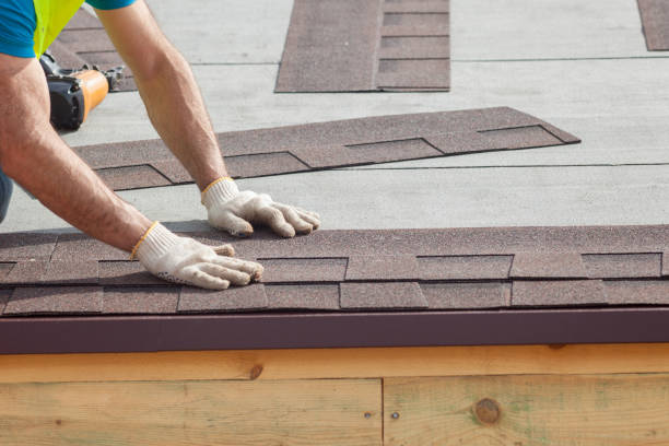 Best Roof Moss and Algae Removal  in Xtonia, PA